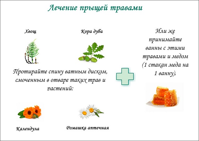 Лечение прыщей на лице травами Лечение прыщей на лице травами