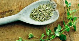 Лучшие способы засолки скумбрии в рассоле кусочками