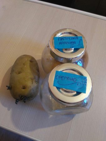Основные специи на кухне Основные специи на кухне