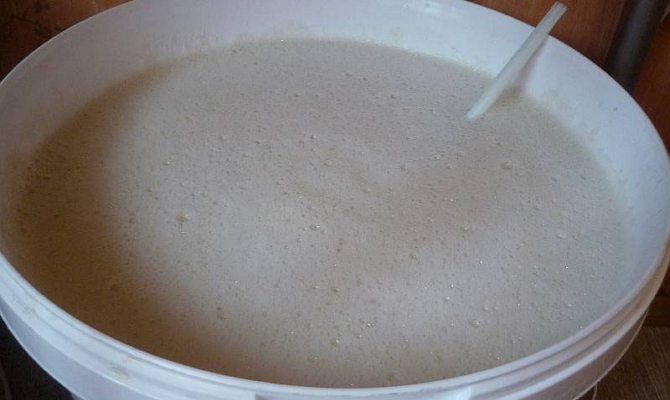 Свойства пальмовой водки и ее самостоятельное приготовление