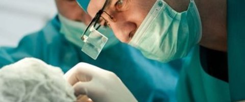 Омолаживающие маски для лица после 40 лет Омолаживающие маски для лица после 40 лет