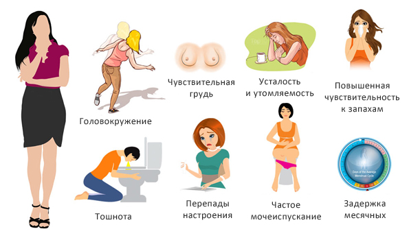 Первые признаки беременности на ранних сроках