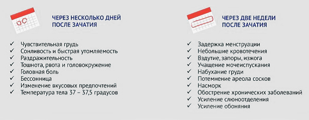 Первые признаки беременности на ранних сроках
